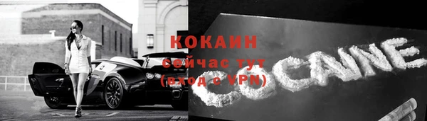 винт Белокуриха