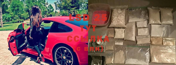 винт Белокуриха