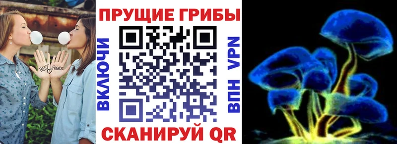 Галлюциногенные грибы прущие грибы  наркота  Трёхгорный 